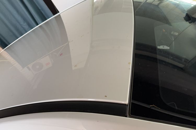Used NETA AYA 2023 401 Lite Roof