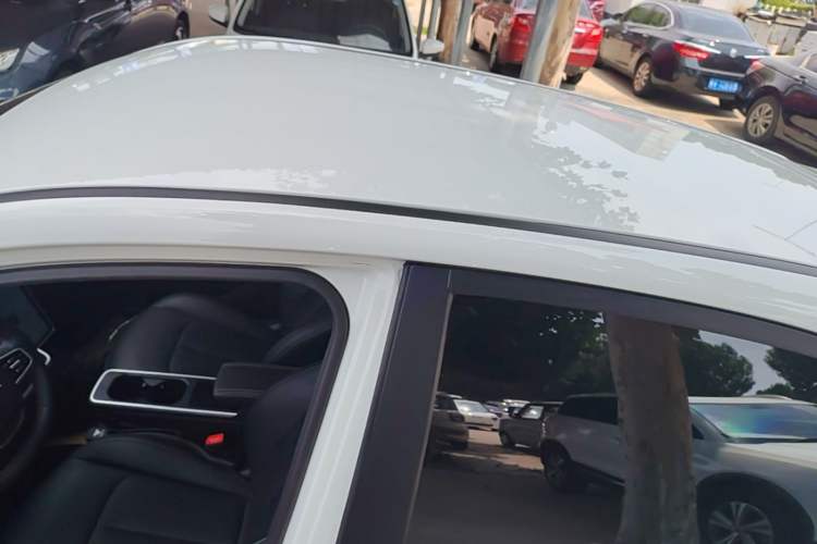 Used NETA AYA 2023 401 Lite Roof