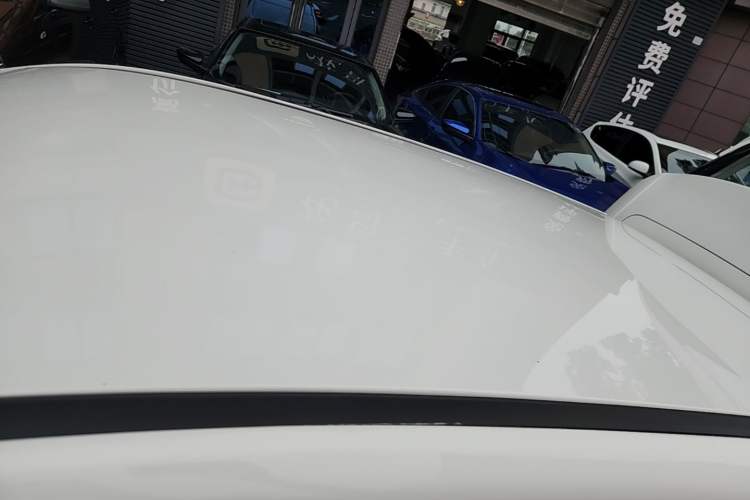Used NETA AYA 2023 318 Lite Roof