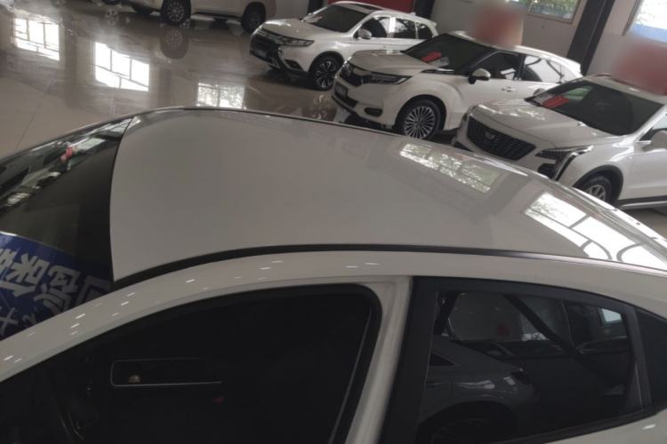 Used NETA AYA 2023 318 Roof