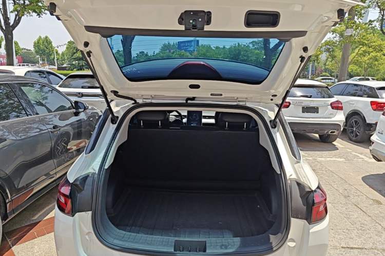 Used NETA AYA 2023 401 Lite Trunk