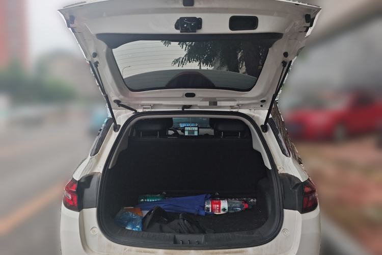 Used NETA AYA 2023 401 Lite Trunk