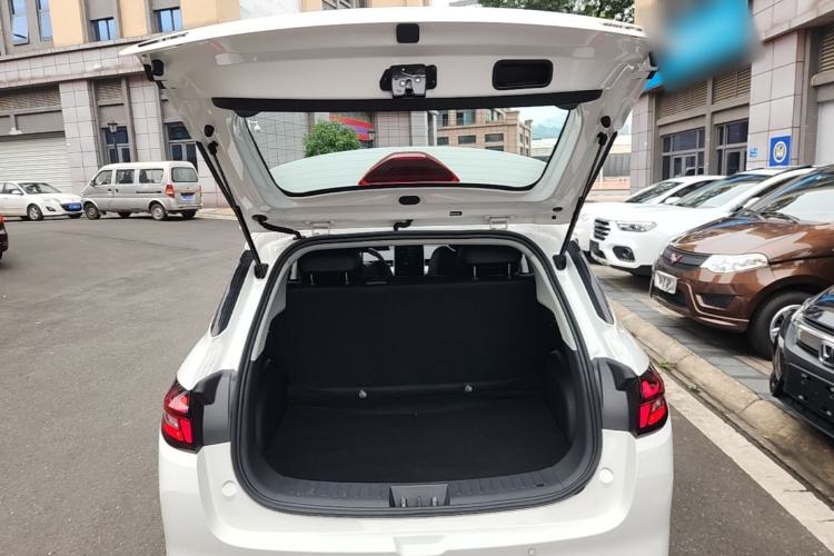 Used NETA AYA 2023 318 Lite Trunk