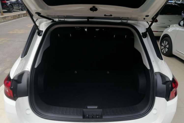 Used NETA AYA 2023 401 Lite Trunk