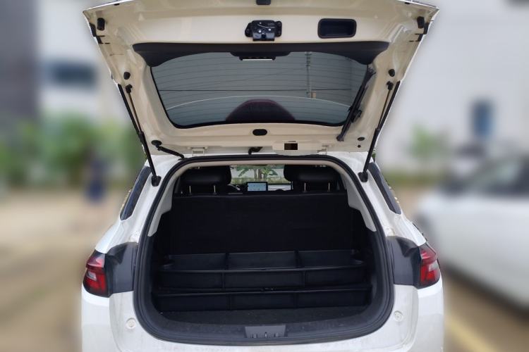 Used NETA AYA 2023 401 Trunk