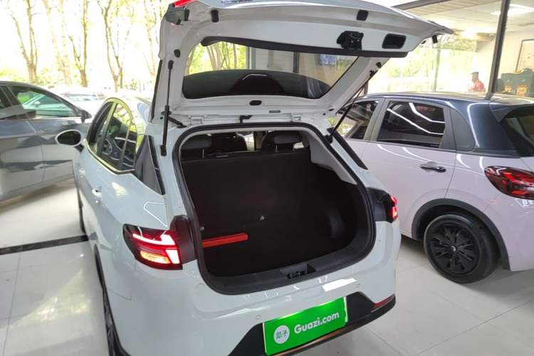 Used NETA AYA 2023 318 Lite Trunk