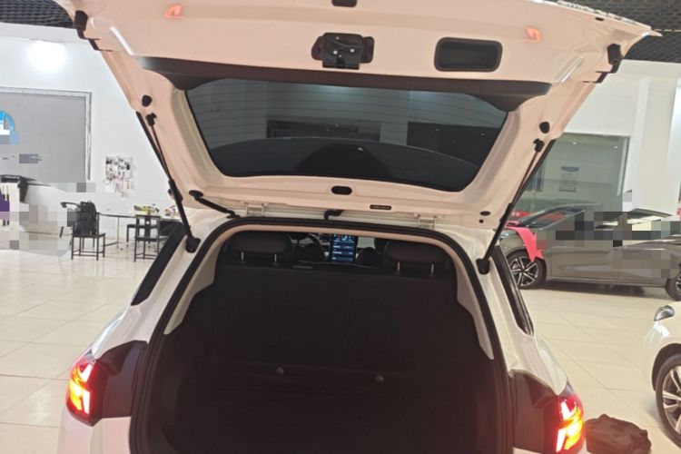 Used NETA AYA 2023 Revised Version 401 Lite Trunk