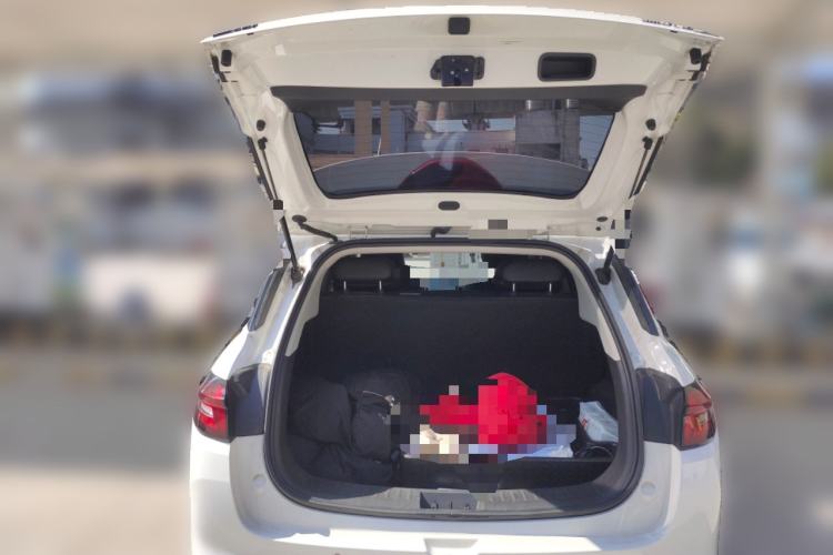 Used NETA AYA 2023 401 Lite Trunk