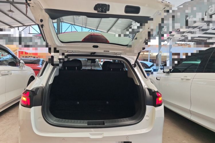 Used NETA AYA 2023 401 Lite Trunk