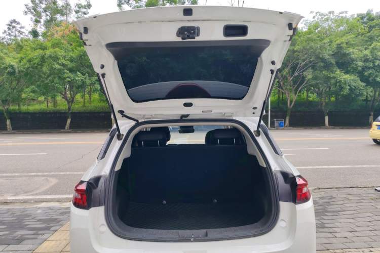 Used NETA AYA 2023 401 Trunk