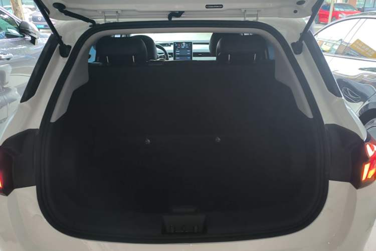 Used NETA AYA 2023 401 Lite Trunk