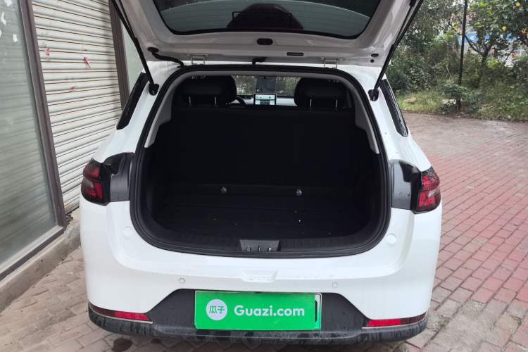Used NETA AYA 2023 401 Lite Trunk