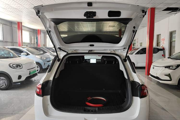 Used NETA AYA 2023 401 Lite Trunk