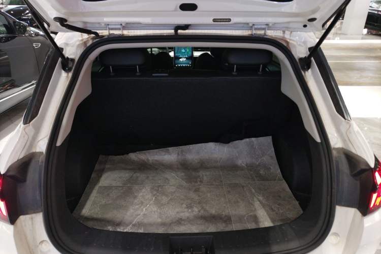 Used NETA AYA 2023 401 Lite Trunk