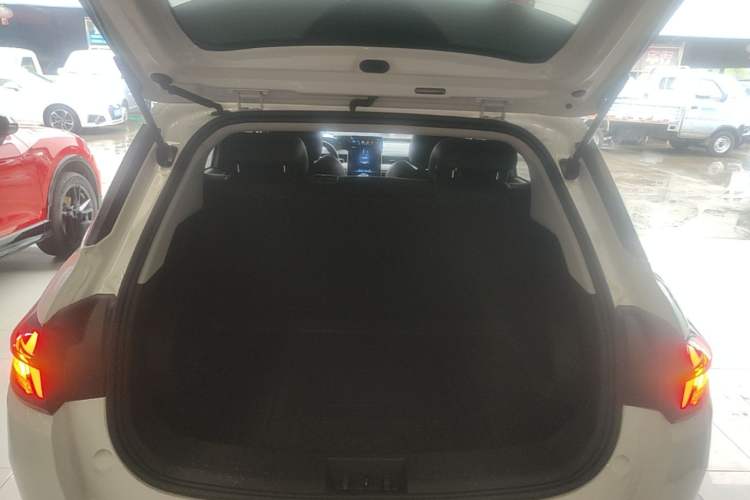 Used NETA AYA 2023 401 Lite Trunk