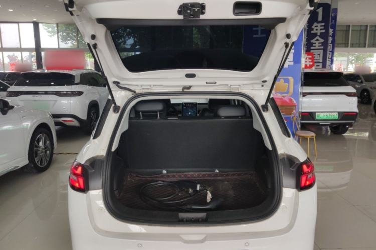 Used NETA AYA 2023 318 Trunk