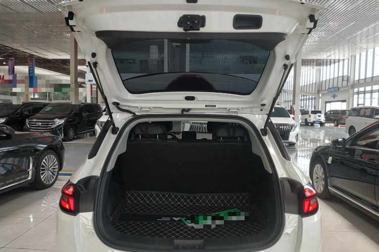 Used NETA AYA 2023 Revised Version 401 Lite Trunk