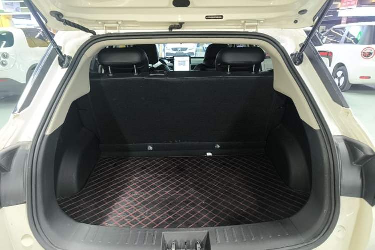 Used NETA AYA 2023 401 Lite Trunk