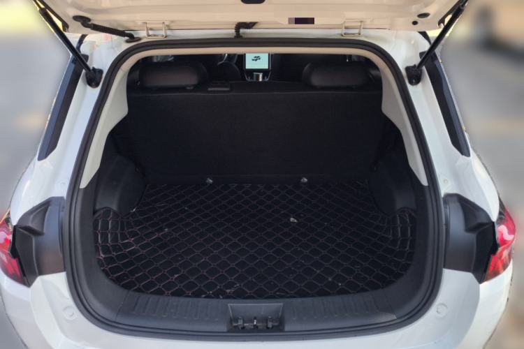 Used NETA AYA 2023 401 Lite Trunk