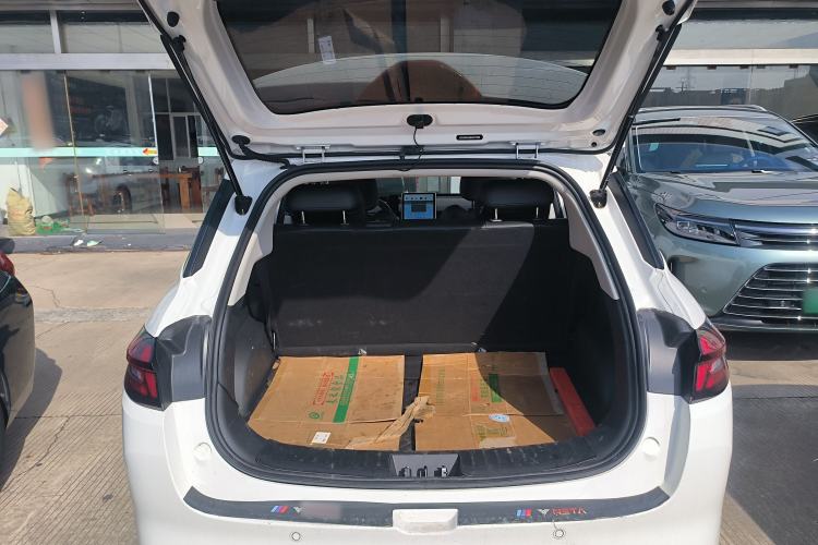 Used NETA AYA 2023 401 Lite Trunk