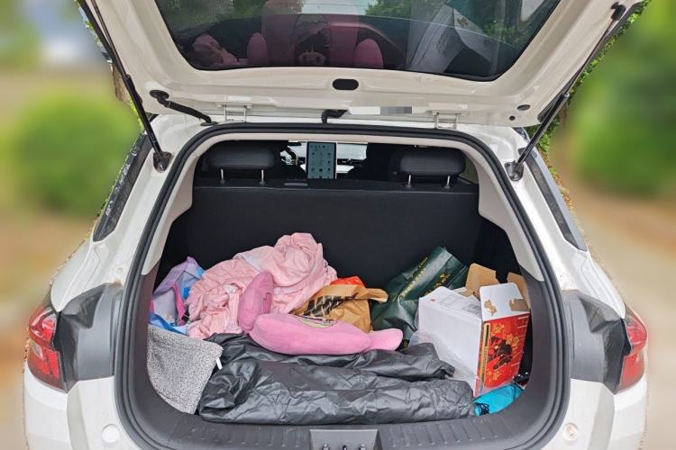 Used NETA AYA 2023 318 Lite Trunk