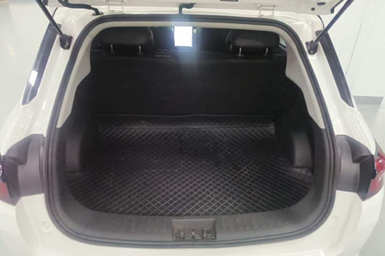 Used NETA AYA 2023 Revised Version 401 Lite Trunk