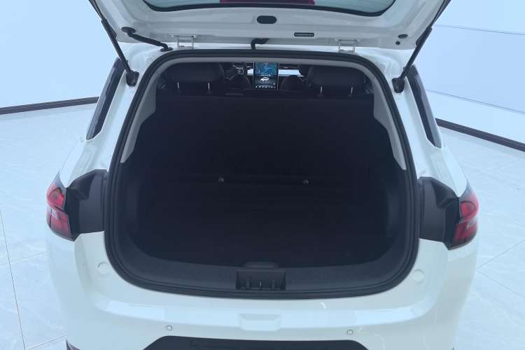 Used NETA AYA 2023 318 Lite Trunk