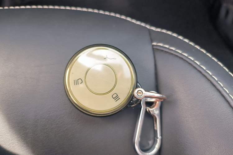 Used NETA AYA 2023 401 Lite Vehicle Key
