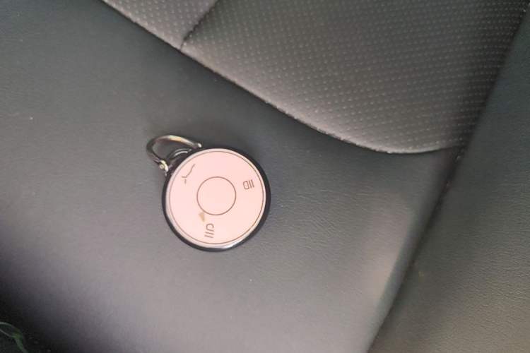 Used NETA AYA 2023 318 Lite Vehicle Key