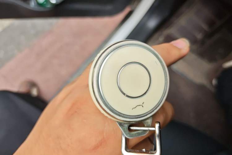 Used NETA AYA 2023 401 Lite Vehicle Key