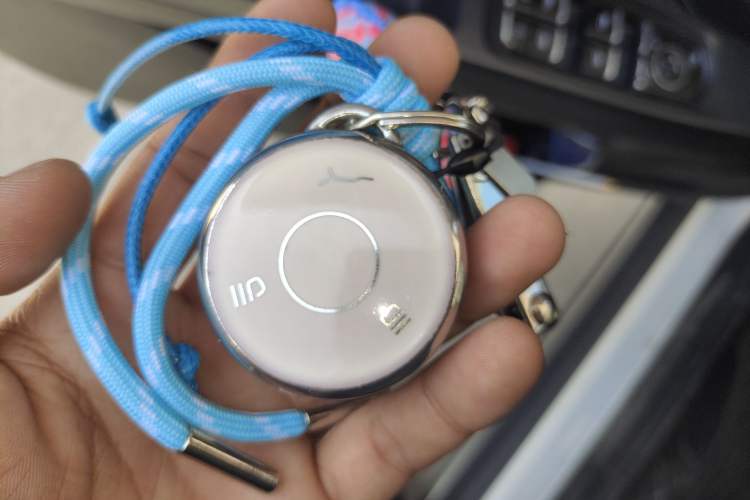 Used NETA AYA 2023 401 Lite Vehicle Key
