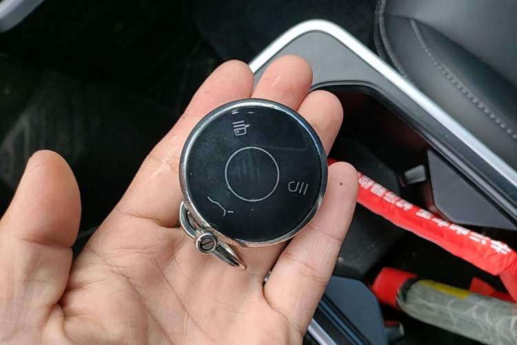 Used NETA AYA 2023 401 Lite Vehicle Key