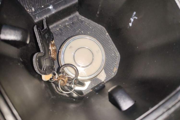 Used NETA AYA 2023 318 Vehicle Key