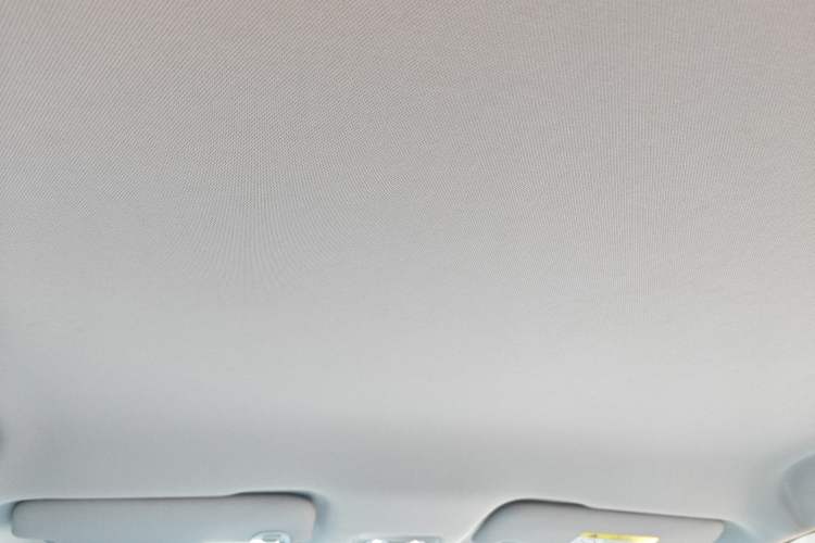 Used NETA AYA 2023 401 Headliner