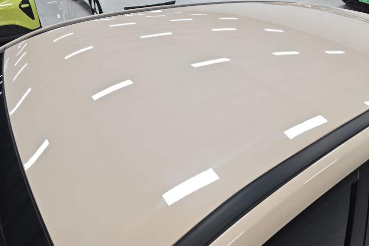 Used NETA AYA 2023 401 Lite Roof
