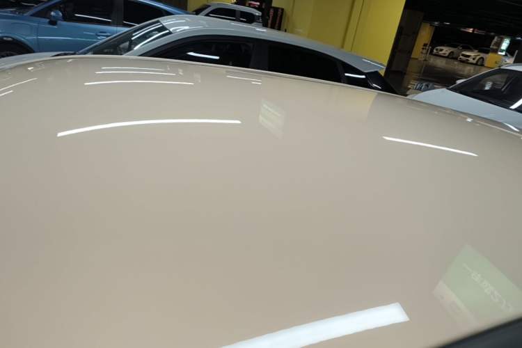 Used NETA AYA 2023 401 Roof