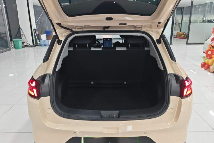 Used NETA AYA 2023 401 Lite Trunk