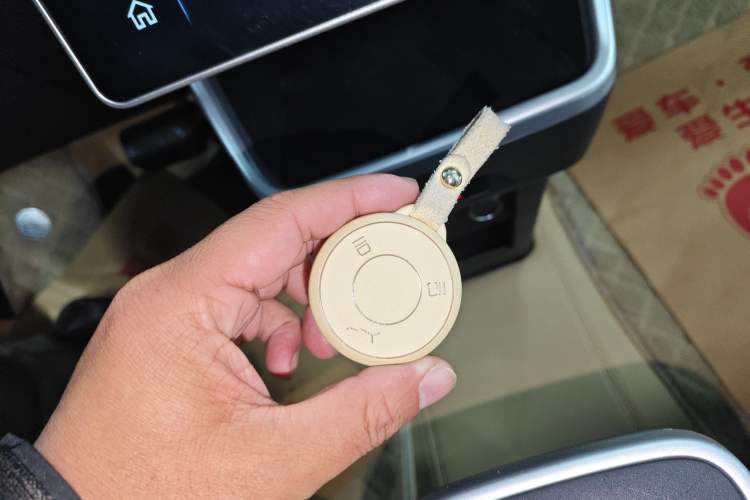 Used NETA AYA 2023 401 Lite Vehicle Key