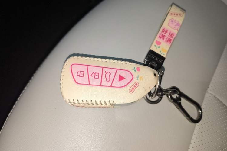 Used NETA AYA 2023 401 Vehicle Key