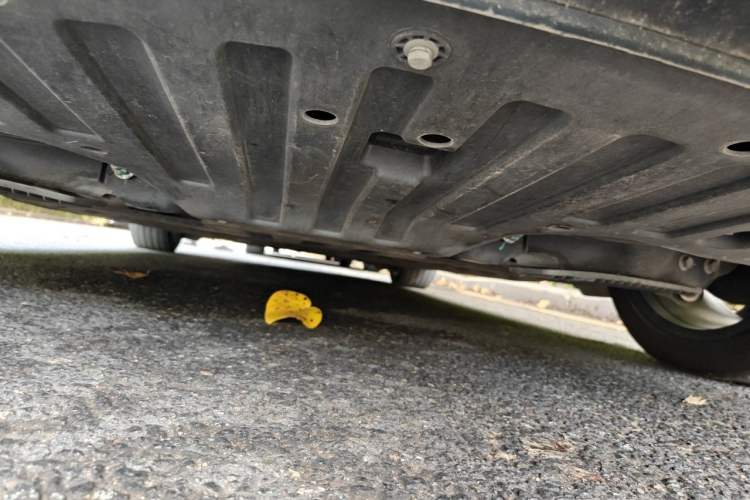 Used NETA GT 2023 560 Chassis Rear