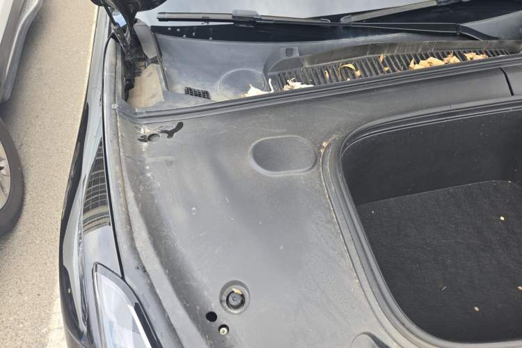 Used NETA GT 2023 560 Engine Bay Right