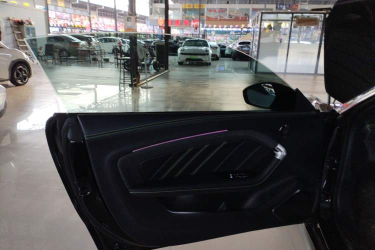 Used NETA GT 2023 560 Left Front Door Interior
