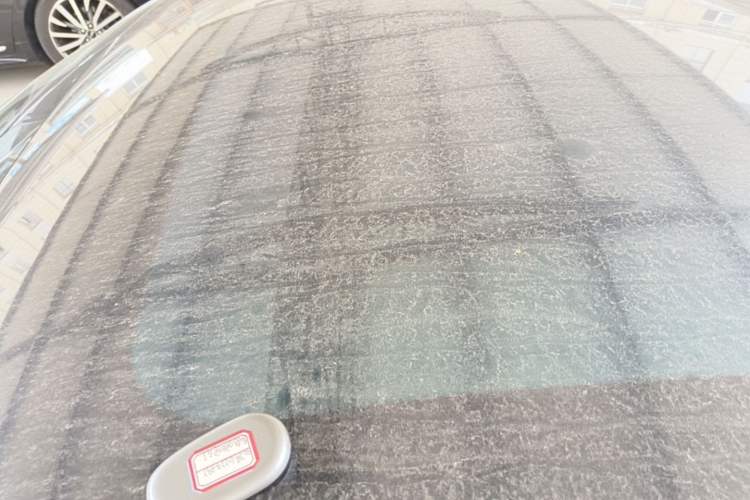 Used NETA GT 2023 560 Roof