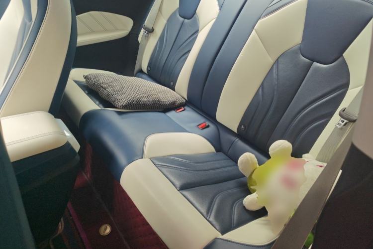 Used NETA GT 2023 660 Left Rear Seat