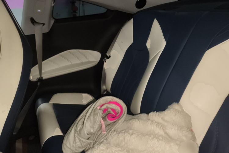 Used NETA GT 2023 560 Left Rear Seat
