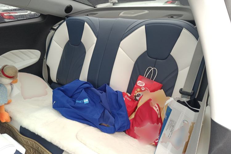 Used NETA GT 2023 560 Left Rear Seat