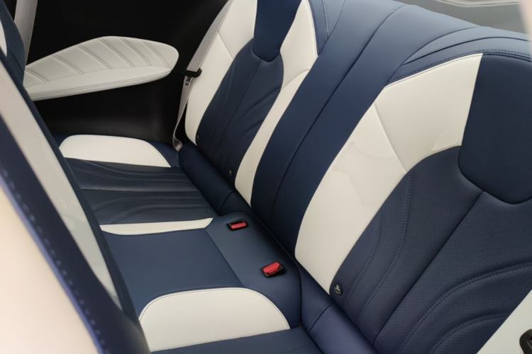 Used NETA GT 2023 560 Left Rear Seat