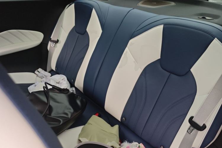 Used NETA GT 2023 580 AWD Left Rear Seat