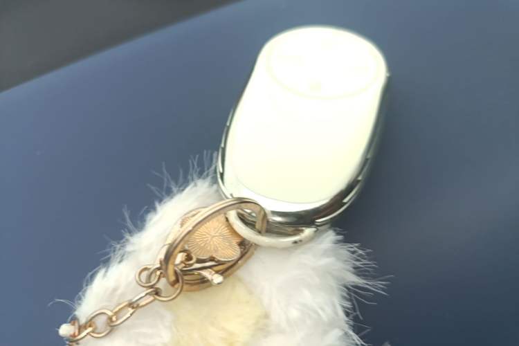 Used NETA GT 2023 560 Vehicle Key