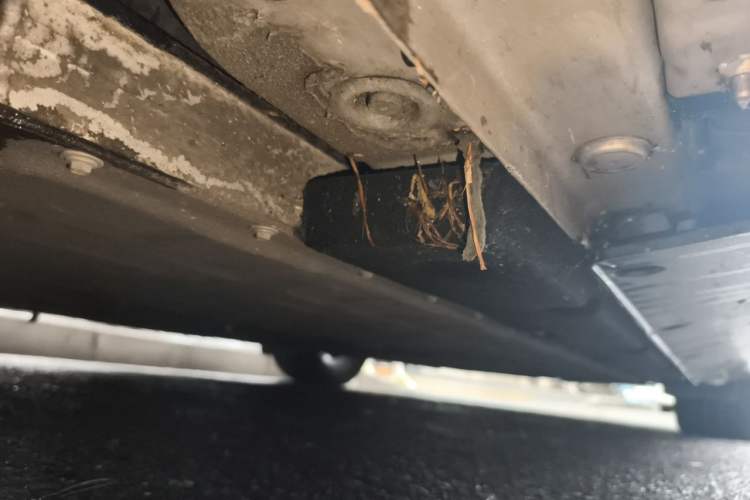 Used NETA GT 2023 560 Chassis Front Left
